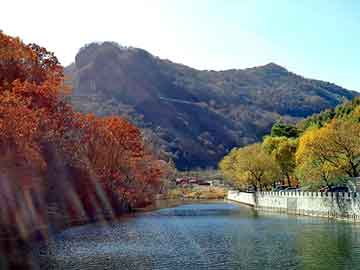 澳门二四六天天彩图库，广东香猪